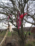SX33111 Ribbons in tree near Tinkinswood burial chamber.jpg